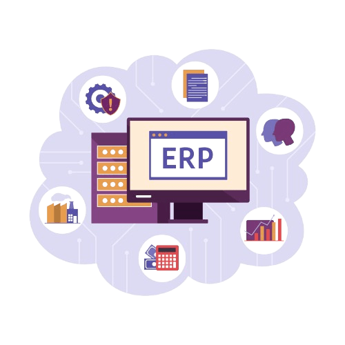 Custom ERP Solutions